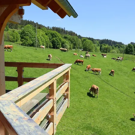 Hirtebube * Lenzkirch