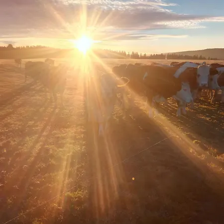 Apartmán Hirtebube *