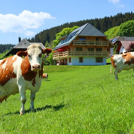 Hirtebube * Lenzkirch