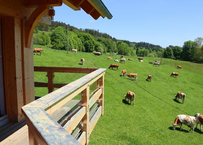 Hirtebube * Ленцкирх